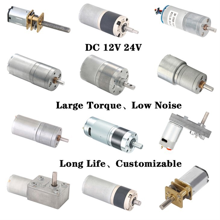 Gear motor